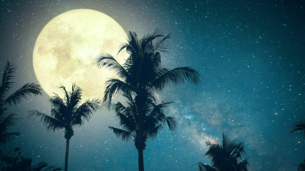 Upcoming Halloween Events on Oahu: Spooky Fun for Everyone