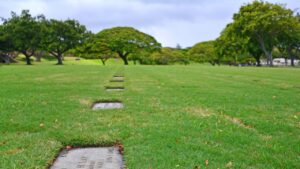 Mahalo to Our Veterans — Honolulu 2025